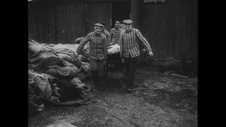 Link to Video | antisemitism, Third Reich, Auschwitz