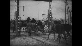 Link to Video | antisemitism, Third Reich, Auschwitz