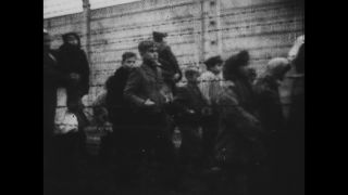 Link to Video | Auschwitz