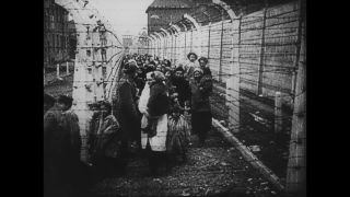 Link to Video | antisemitism, Third Reich, Auschwitz