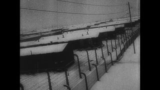 Link to Video | Auschwitz