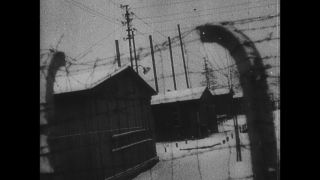 Link to Video | Auschwitz
