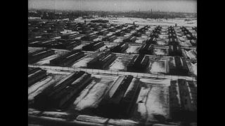 Link to Video | antisemitism, Third Reich, Auschwitz