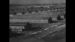 Link to Video | antisemitism, Third Reich, Auschwitz