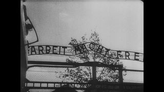 Link to Video | Auschwitz