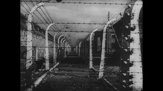 Link to Video | antisemitism, Third Reich, Auschwitz