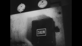 Link to Video | antisemitism, Third Reich, Auschwitz