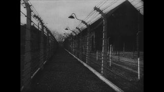 Link to Video | Auschwitz