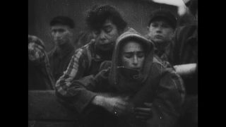 Link to Video | antisemitism, Third Reich, Auschwitz