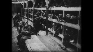 Link to Video | antisemitism, Third Reich, Auschwitz