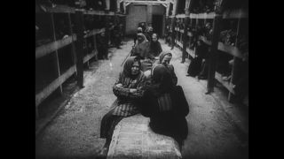 Link to Video | Auschwitz