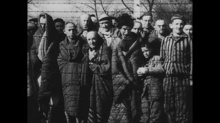 Link to Video | antisemitism, Third Reich, Auschwitz
