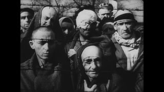 Link to Video | Auschwitz
