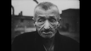 Link to Video | antisemitism, Third Reich, Auschwitz