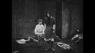 Link to Video | antisemitism, Third Reich, Auschwitz