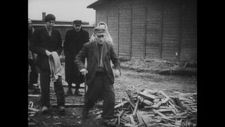 Link to Video | antisemitism, Third Reich, Auschwitz