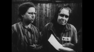 Link to Video | antisemitism, Third Reich, Auschwitz