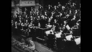 Link to Video | personality