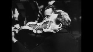 Link to Video | personality