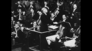 Link to Video | personality