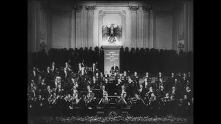 Link to Video | personality