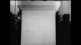 Link to Video | personality