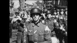 Link to Video | personality