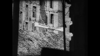 Link to Video | personality