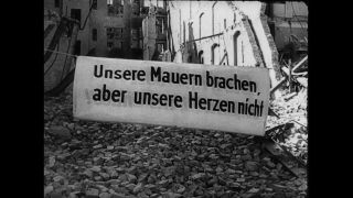 Link to Video | personality