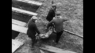 Link to Video | antisemitism, Third Reich