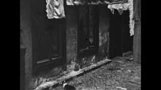 Link to Video | antisemitism, Third Reich