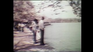 Link to Video
