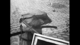 Link to Video | personality