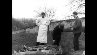 Link to Video | antisemitism, Third Reich