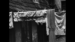 Link to Video | antisemitism, Third Reich