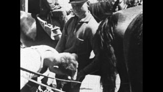 Link to Video | antisemitism, Third Reich