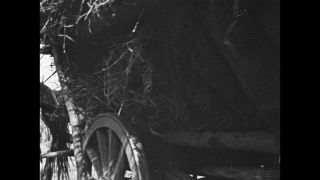 Link to Video | antisemitism, Third Reich