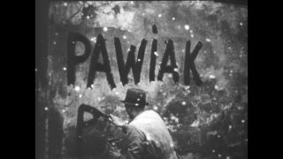 Link to Video | Warsaw Ghetto, Warsaw, Jew, World War II, Third Reich, Jewish Ghetto Police, Nazism