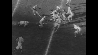 Link to Video | United States of America, Los Angeles, California