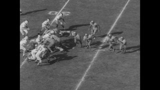 Link to Video | United States of America, Los Angeles, California