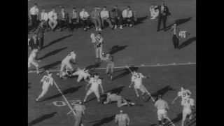 Link to Video | United States of America, Los Angeles, California