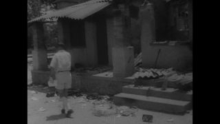 Link to Video