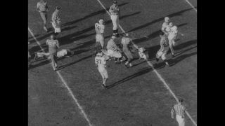 Link to Video | United States of America, Los Angeles, California