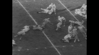 Link to Video | United States of America, Los Angeles, California