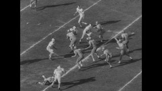 Link to Video | United States of America, Los Angeles, California