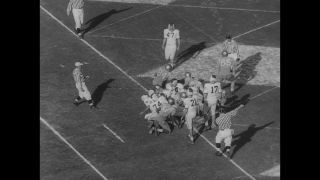 Link to Video | United States of America, Los Angeles, California