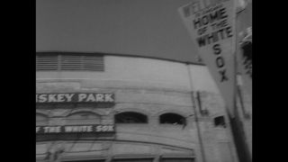 Link to Video | United States of America, Los Angeles, California