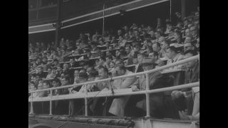 Link to Video | United States of America, Los Angeles, California