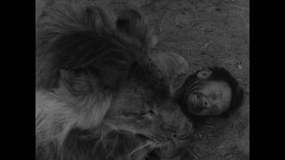 Link to Video | United States of America, Hollywood, Los Angeles, California