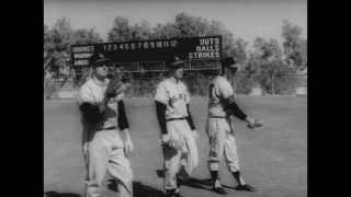 Link to Video | United States of America, Los Angeles, California